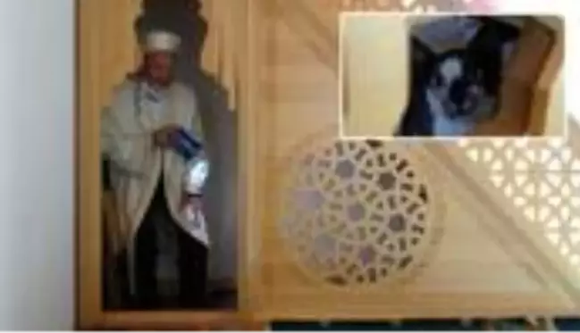 Namaz kıldığı sırada bir kedi gören imam, minberin altına bakınca olayı çözdü