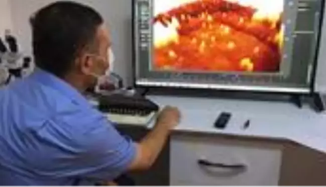 Koronavirüs ilk kez 3 boyutlu görüntülendi