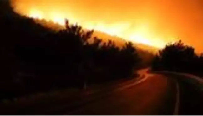 İzmir yanıyor! Yangın yola sıçradı, çevredeki siteler boşaltıldı