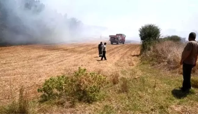 Demiri için yakılan kanepeden sıçrayan kıvılcımlar orman yangınına sebep oldu