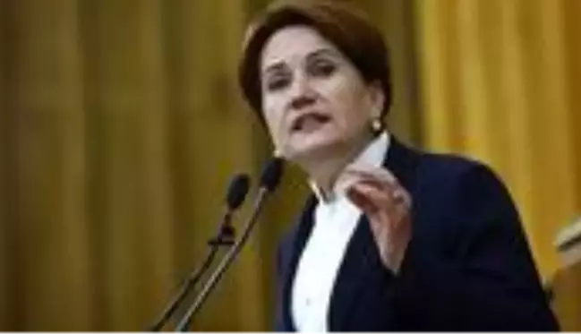 Meral Akşener'in A takımı belli oldu! MHP'den ihraç edilen Erhan Usta Başkanlık Divanı'na seçildi