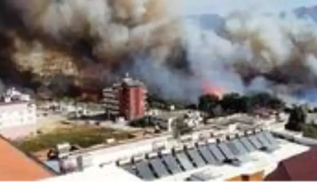 Son Dakika: Hatay'da orman yangını! Alevler yerleşim yerlerine sıçradı, evler tahliye edildi