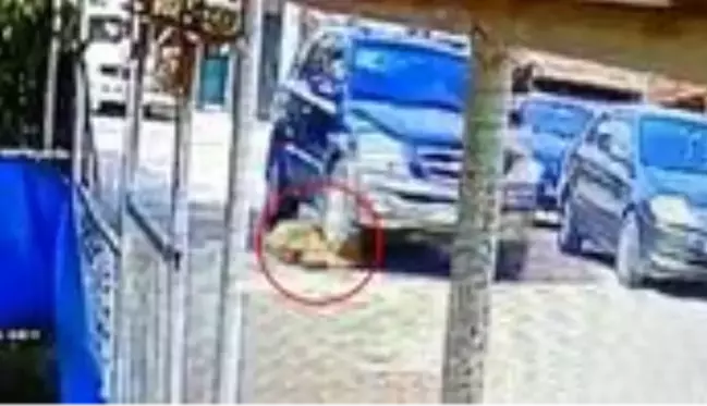 Yol ortasında duran köpeği ezip, yoluna devam etti! O anlar kameraya yansıdı