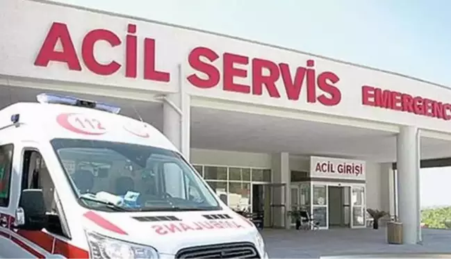 Kışlık odun yakacağı için tarlasında kestirdiği ağacın altında kalan talihsiz kadın, feci şekilde can verdi