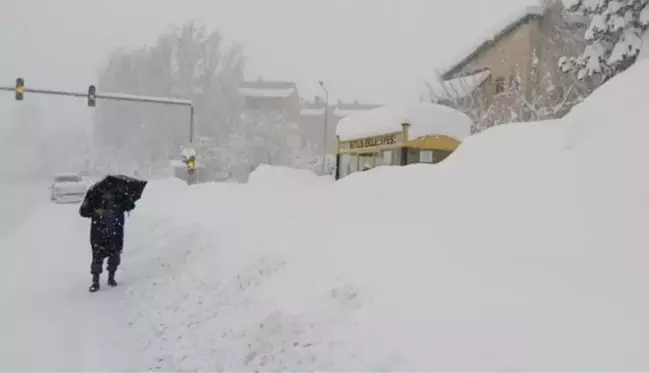 Bitlis'te kar yağışı kenti esir aldı! 290 köy yolu kapandı, evler, duraklar ve tabelalar kayboldu