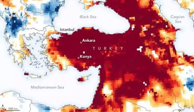 Doğal Hayatı Koruma Vakfı'ndan Türkiye'ye kuraklık için seferberlik çağrısı: 10 şehir risk altında