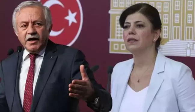 TBMM Başkanvekili, HDP'li vekilin yüzüne bakarak söyledi: Konuşmam sırtını PYD'ye dayayan alçaklara