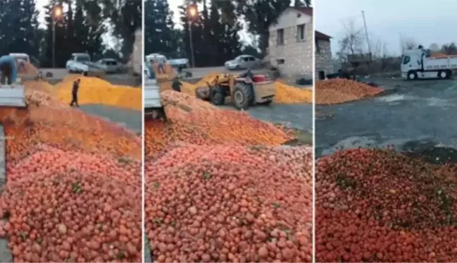 Süt banyosu ve dönerle danstan sonra skandal bir video daha! Çürümüş portakallar meyve suyu olacak