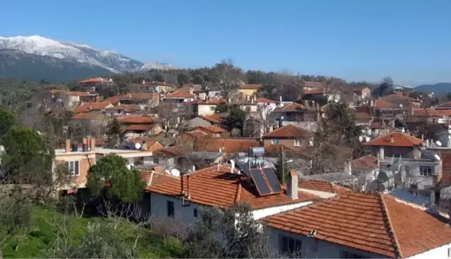 Bu zamana kadar tek vaka dahi görülmedi! İşte kırmızı şehrin mavi köyü Hacıarslanlar'ın başarı sırrı