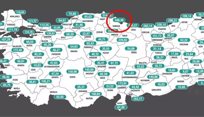 Samsun'da vaka sayısının neden rekor kırdığı anlaşıldı! Pozitif çıkan vatandaşlar kendilerini gizlemiş