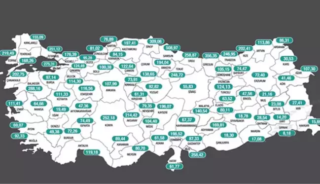 Risk haritasında kırmızı illerin sayısının 39'a çıkması uzmanları tedirgin etti: Türkiye tamamen kapanabilir