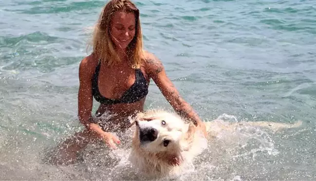 Antalya sahilleri onlara kaldı! Rus turist, köpeğini de 9 kilometre uçak yolculuğuyla tatile getirdi