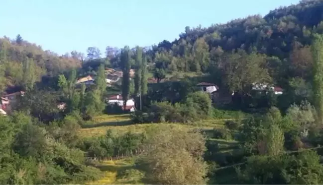 Kırmızı Amasya'nın 'mavi' köyü! Koronavirüs bu köye hiç uğramadı, başarının sırrı iki tedbirde