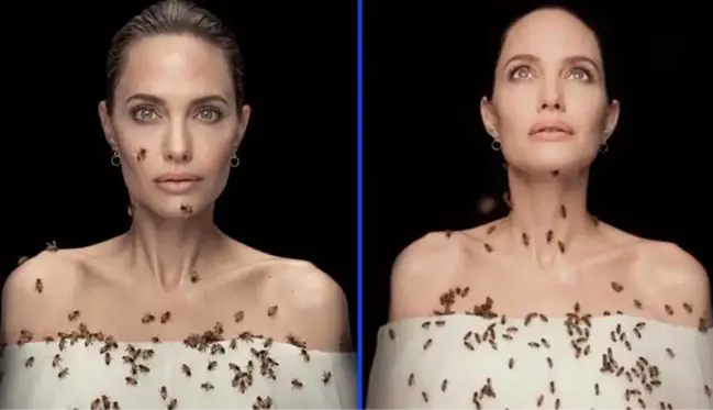 Kadın işçi istihdamı için kamera karşısına geçen Angelina Jolie, dakikalarca arılarla poz verdi