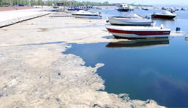 Bakan Kurum, Marmara Denizi'ni kaplayan deniz salyasının oluşmasının 3 nedenini sıraladı