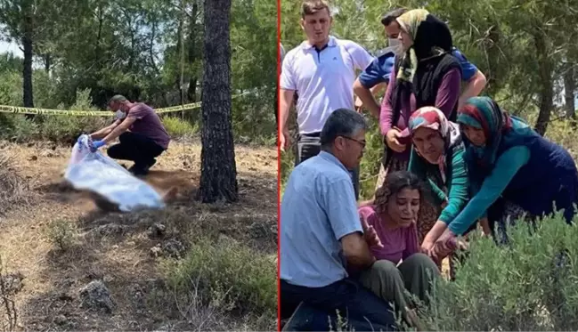 Kardeşini arayıp ''Hakkınızı helal edin ben orman içine gidiyorum ölü ya da diri bulursunuz'' diyen kadının cansız bedeni ağaca asılı bulundu