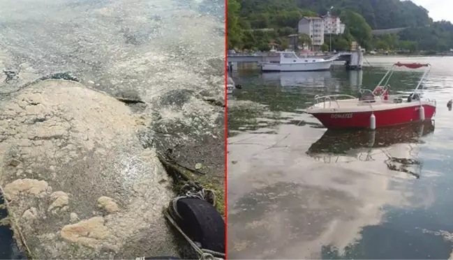 Deniz salyası şimdi de Karadeniz'de! Profesör yaklaşan tehlikeye dikkat çekti: Böyle giderse biz de karşı karşıya kalacağız