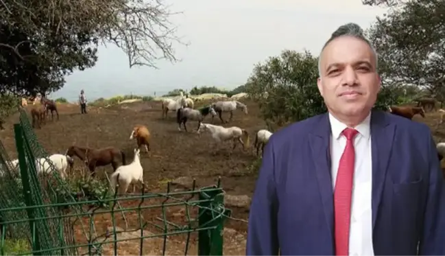 İBB'nin kayıp atlarının faturası Dörtyol Belediyesi Veteriner İşleri Müdürü'ne kesiliyor! Memurluktan çıkarılması isteniyor