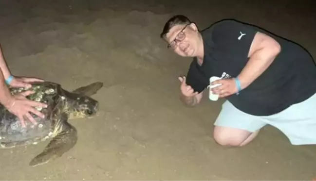 Caretta carettaya eziyet eden turistlere para cezası