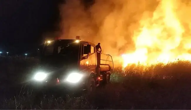 Düğünde atılan havai fişek 10 dekarlık sazlık alanda yangına neden oldu