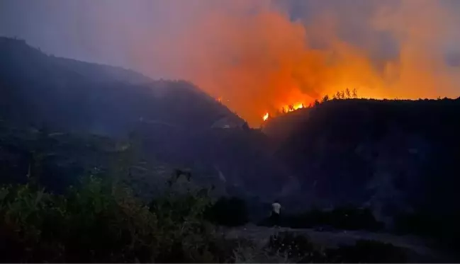 Orman yangını çıkarmaya çalışan yabancı uyruklu 2 PKK'lı terörist yakalandı