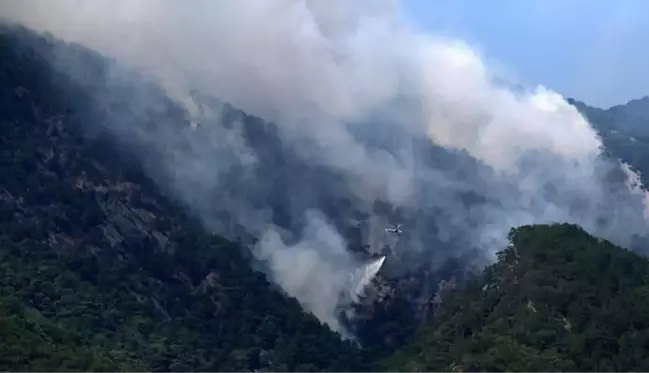 Kazdağları'ndan yüreklere su serpen haber! Yangın kontrol altına alındı, soğutma çalışmaları sürüyor