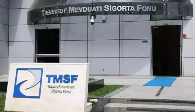 TMSF, Aynes Gıda'yı satışa çıkardı