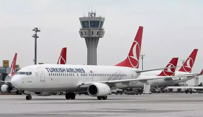 İstanbul-Bodrum 1.767 TL! THY ve Anadolujet biletleri el yakıyor