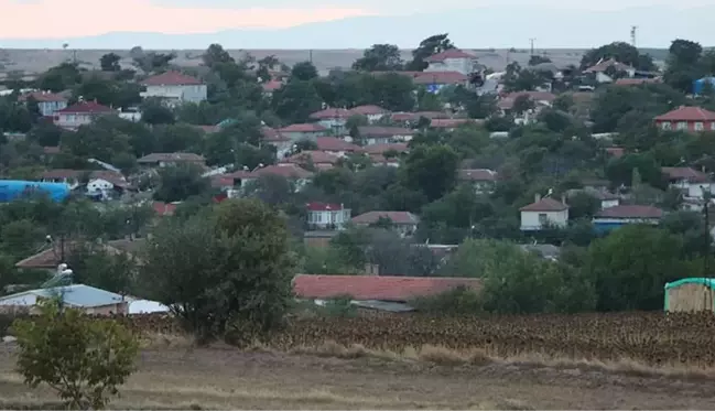 Edirne'de 8 köy, hayvanlarda görülen Mavi Dil hastalığı nedeniyle karantinaya alındı