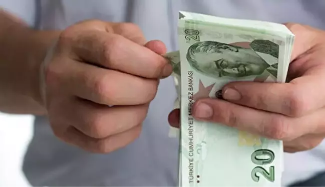 Yeni 5 ve 20 TL'lik banknotlar bugün tedavüle giriyor