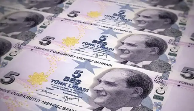 Yeni 5 TL'ler kullanıma girdi! Banknotlarda sadece bir değişiklik var