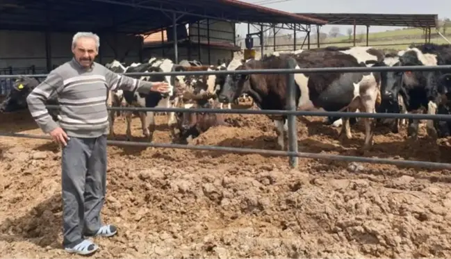 Şap hastalığı nedeniyle 7 mahalleye giriş çıkışlar yasaklandı