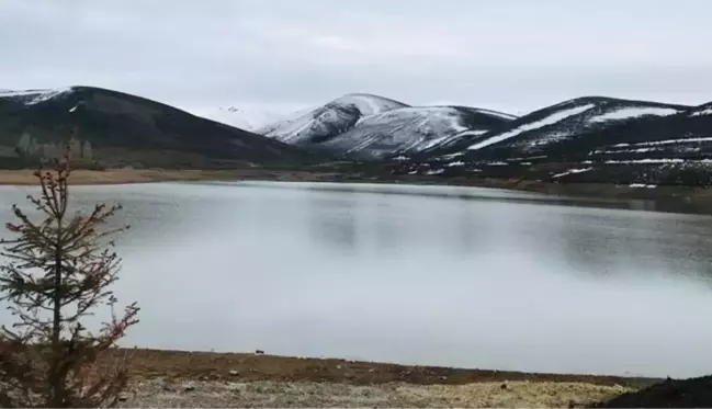 Kurumaya yüz tutmuştu, karların erimesiyle birlikte Gökçedere Göleti yeniden doldu