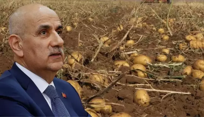 Bir bu eksikti! Şimdi de patates kanseri patlak verdi, 26 ilde karantina uygulanıyor