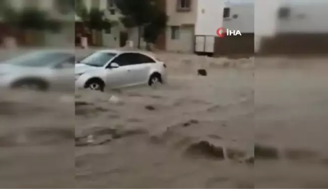 Meksika'da şiddetli yağış sele neden oldu