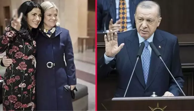 Cumhurbaşkanı Erdoğan ve Andersson'un olumlu görüşmesi, İsveç'i karıştırdı! PKK üyesi vekil çılgına döndü