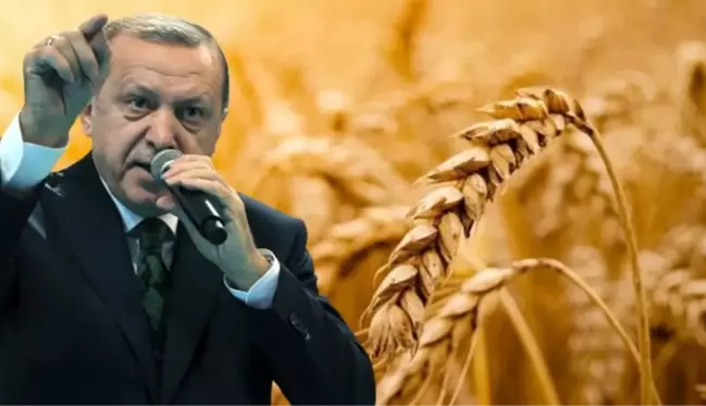 Kilidin anahtarı Türkiye'nin elinde! Dünyayı tedirgin eden gıda krizinin çözümü için İstanbul'da 4'lü zirve yapılacak