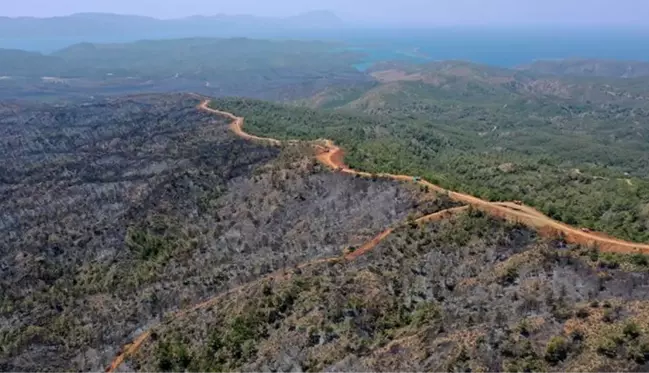 Bakan Kirişci, Marmaris yangınıyla ilgili son durumu paylaştı: 4 bin 500 hektar alan küle döndü