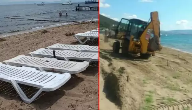 Yer: Büyükada! Hasta atların itlaf edildiği noktadan sahile toprak taşındığı iddiası vatandaşları tedirgin etti