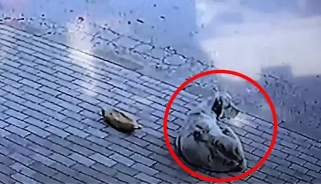 Başkasının verdiği ekmeği yemedi, 45 dakika iş yeri sahibinin gelmesini bekledi