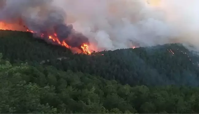 Kütahya'da orman yangını! Bölgeye çok sayıda ekiple birlikte helikopter ve uçak da sevk edildi