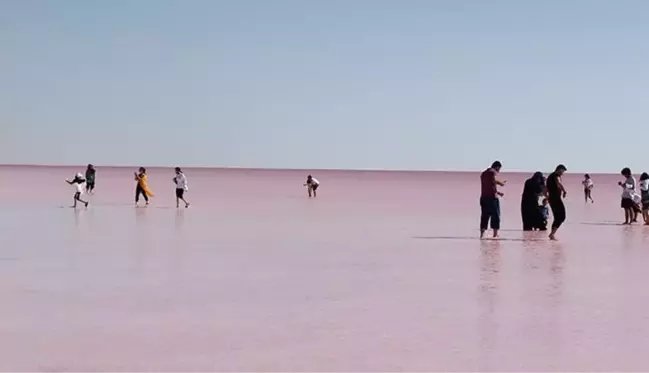 Tuz Gölü, sıcaklıkla birlikte artan alg ve bakteriler nedeniyle pembeye büründü