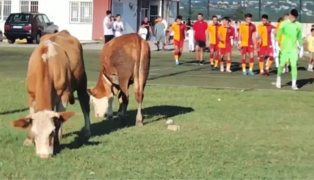 Türkiye Futbol Federasyonu, Rezerv Lig'i iptal etti! Akıllarda tek bir kare kaldı