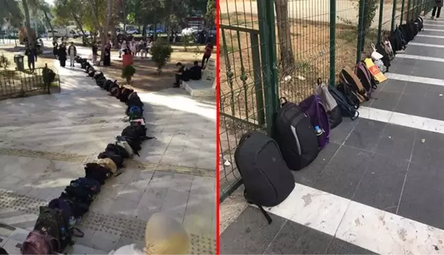 Yoldan geçenler çanta kuyruğunu görünce şaşkına döndü! Nedeni sonradan ortaya çıktı