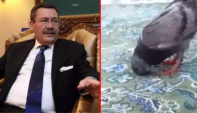 Melih Gökçek, Kabe'de güvercinin secde ettiği iddia edilen videoyu gerçekmiş gibi paylaştı