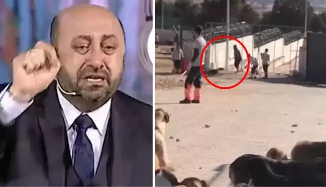 Konya'daki köpek katliamı sonrası Ömer Döngeloğlu'nun videosu yeniden viral oldu