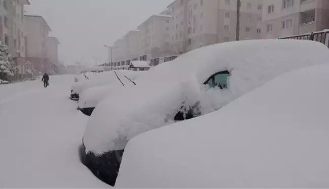 45 santimetreye ulaşan kar Van'da hayatı durma noktasına getirdi! Yollar kapandı, 3 ilçede okullar tatil edildi