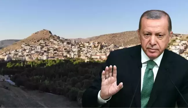 Cumhurbaşkanı Erdoğan'ın söz verdiği ilçede büyük heyecan! Hazırlıklar tam gaz devam ediyor