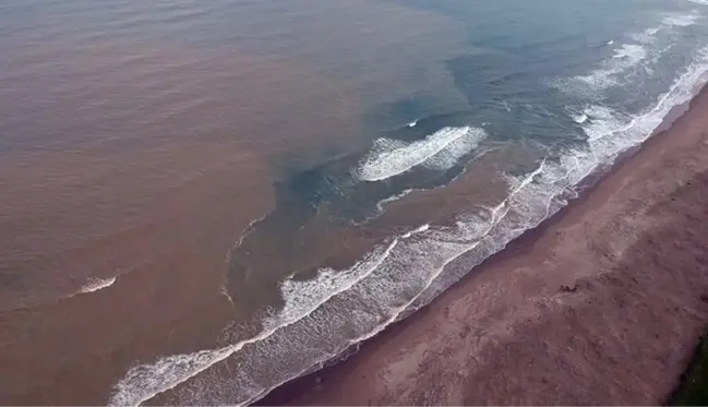 Şaşırtan görüntü! Karadeniz çamura büründü