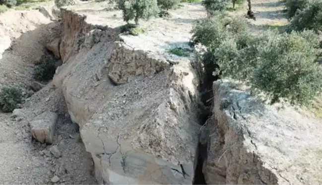 Deprem sonrasında hayrete düşüren görüntüler! Hatay'da zeytin bahçesinde sarsıntılar sonrasında dev yarıklar oluştu